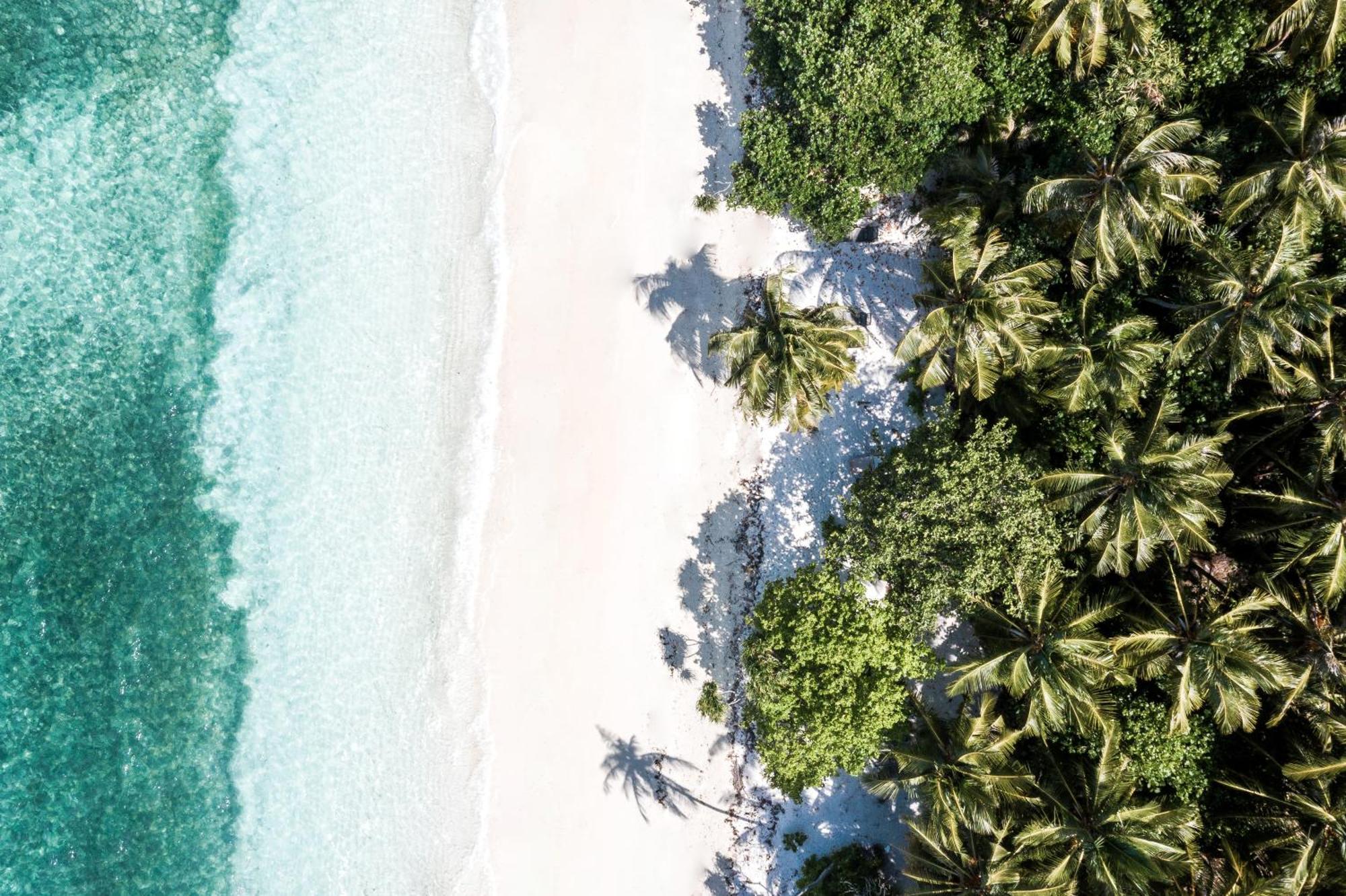 Hotel Tropical Tree Fehendhoo Exterior foto