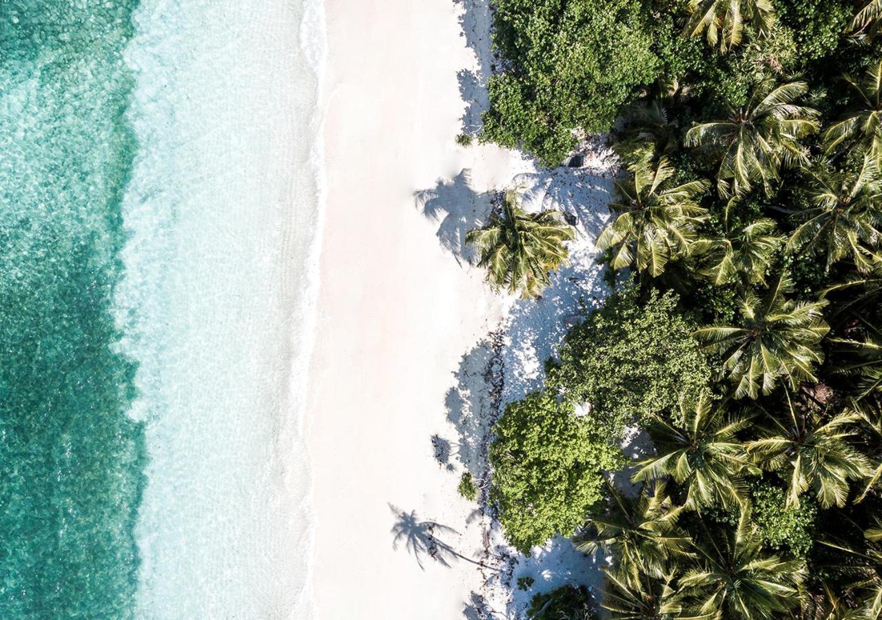 Hotel Tropical Tree Fehendhoo Exterior foto